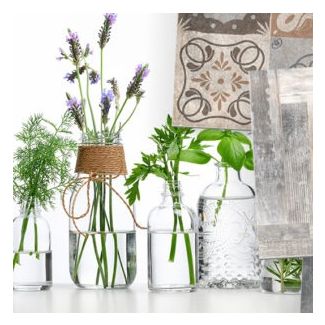 Bringing green into your home this spring