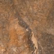 IA-018_3.jpg